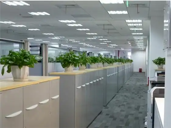 想给办公室添点绿色，又怕养不活？