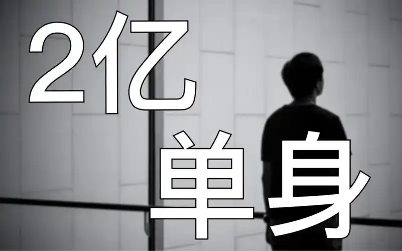 2.4 亿单身浪潮：一场未被理解的时代突围